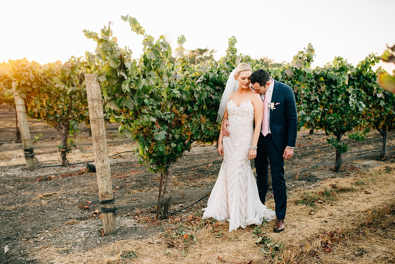 Biddle Ranch Vineyard Wedding Photos
